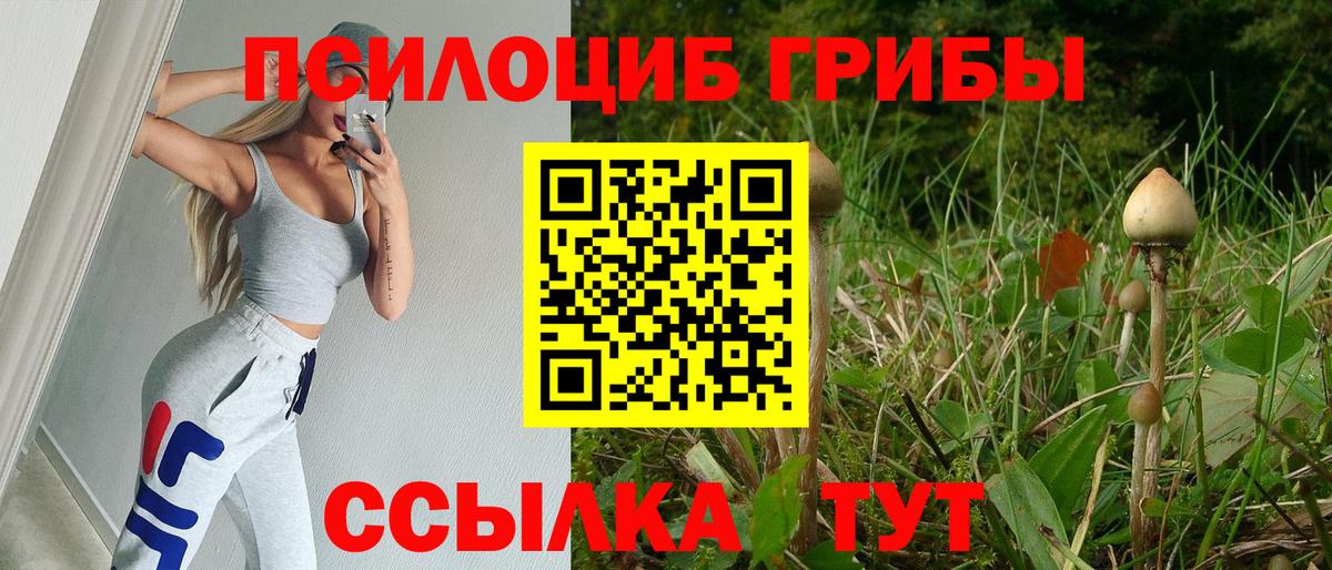 Галлюциногенные грибы Psilocybine cubensis Новокуйбышевск