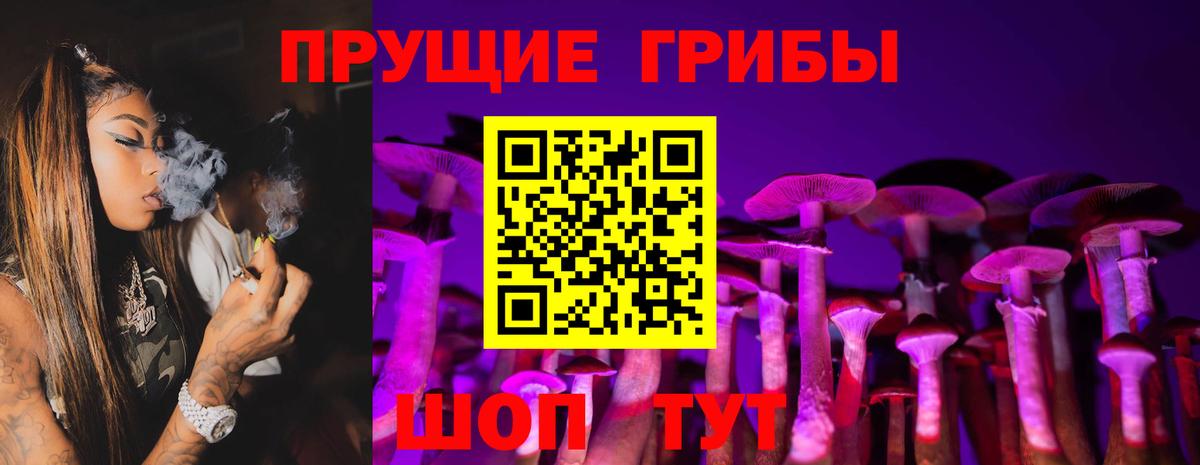 Галлюциногенные грибы Psilocybine cubensis  Вход с VPN  Галлюциногенные грибы GOLDEN TEACHER  где купить   Новокуйбышевск 